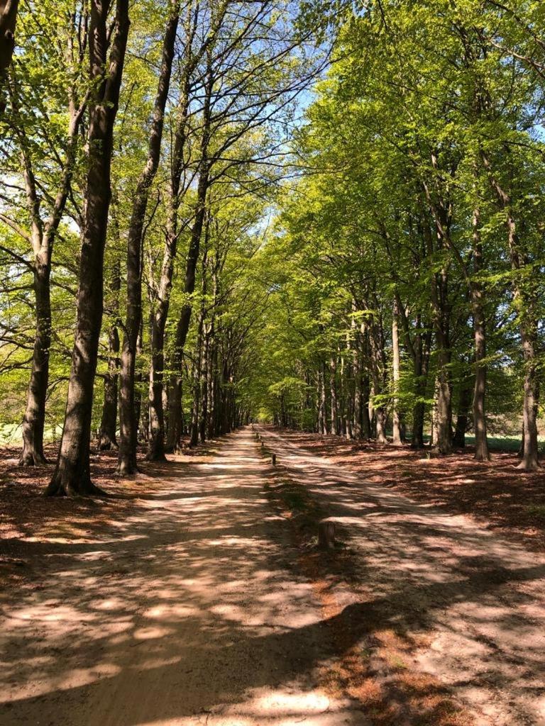 Hotel Van Der Maas Ootmarsum Exteriér fotografie